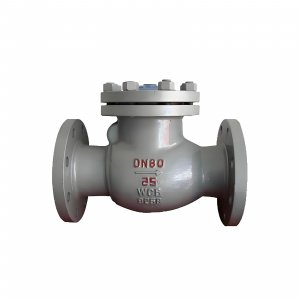 DN50 PN25 介質(zhì)：甲胺，溫度：80℃止回閥